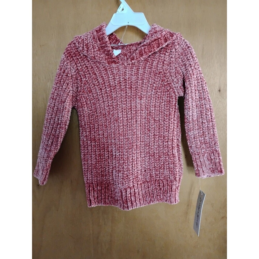 Derek Heart Textured Chenille Knit Hoodie Pullover Sweater Girl's 2T